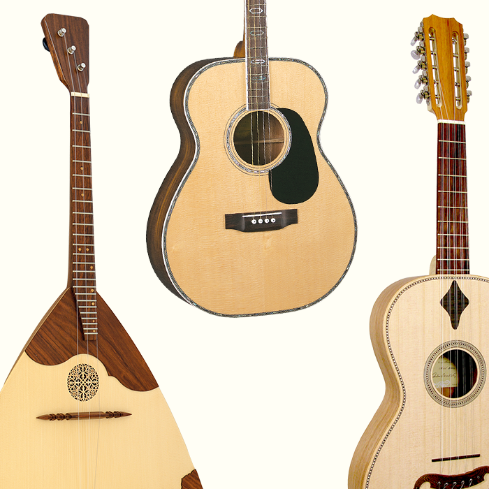 Other Fretted Instruments