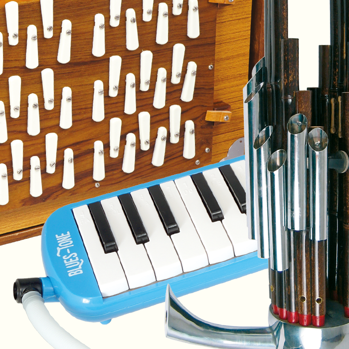 Other Free Reed Other Free Reed