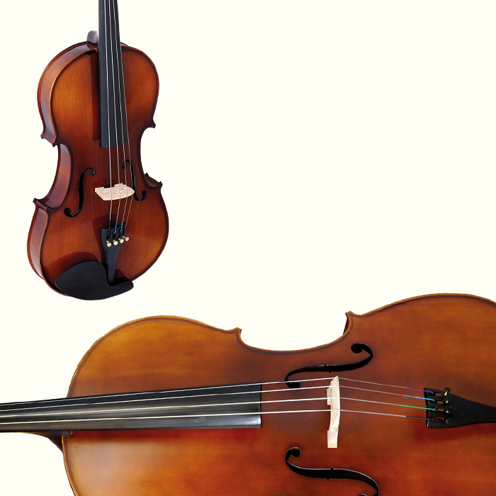 Violas, Cellos & Basses Violas, Cellos & Basses