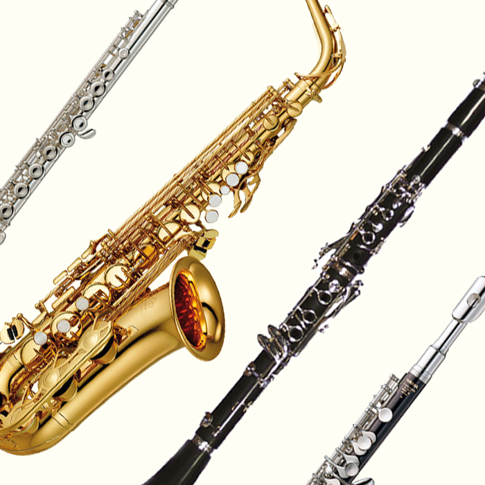 Orchestral Wind Cases & Bags