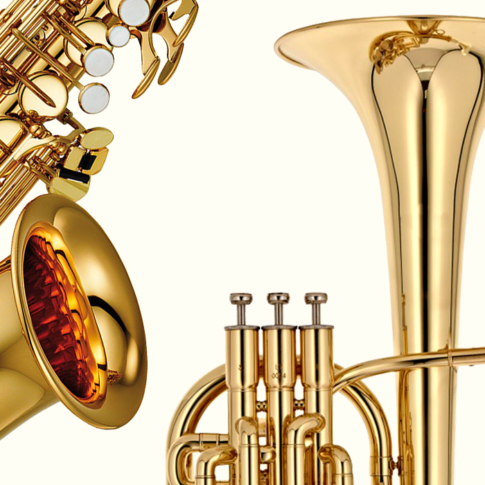 Brasswind Cases & Bags