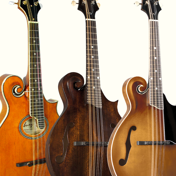 Arch Top F-Style Mandolins