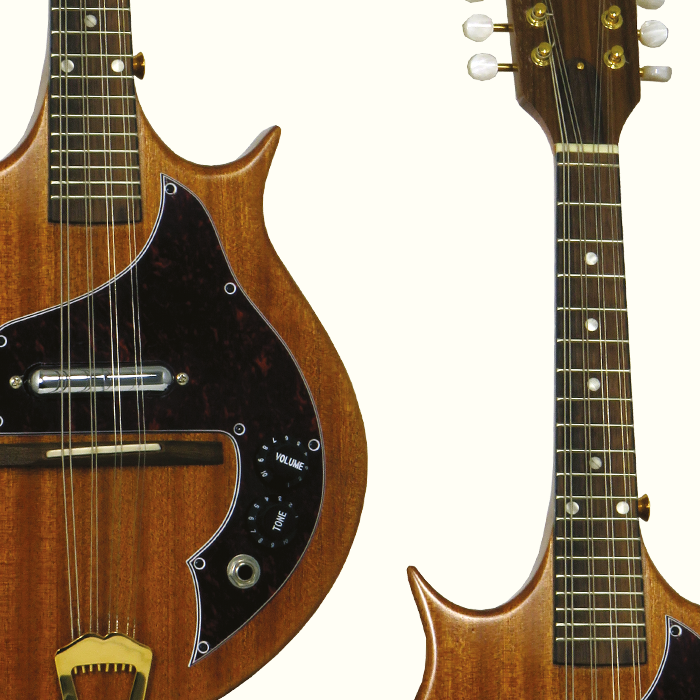 Electric Mandolins