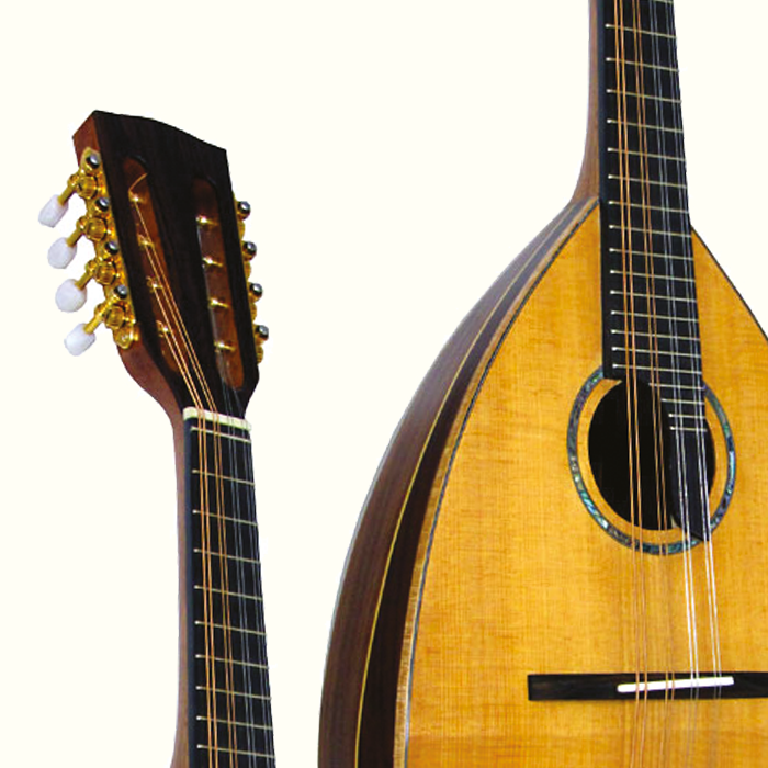 Bowl Back Mandolins Bowl Back Mandolins