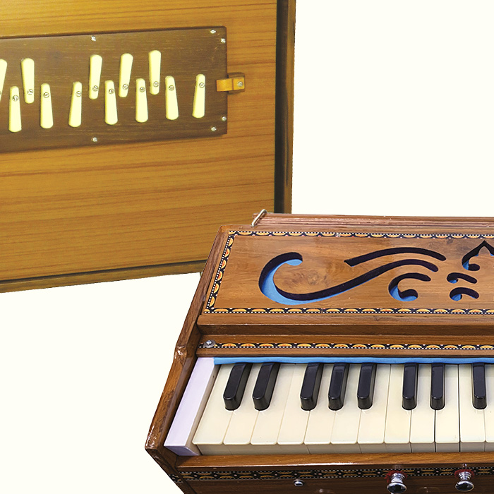 Harmonium,Bandoneon,Shrutibox