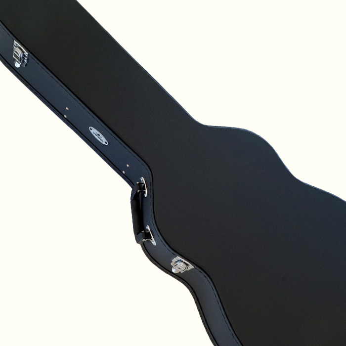 Acoustic Guitar Cases