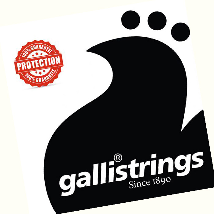 Resonator & Slide Guitar Strs