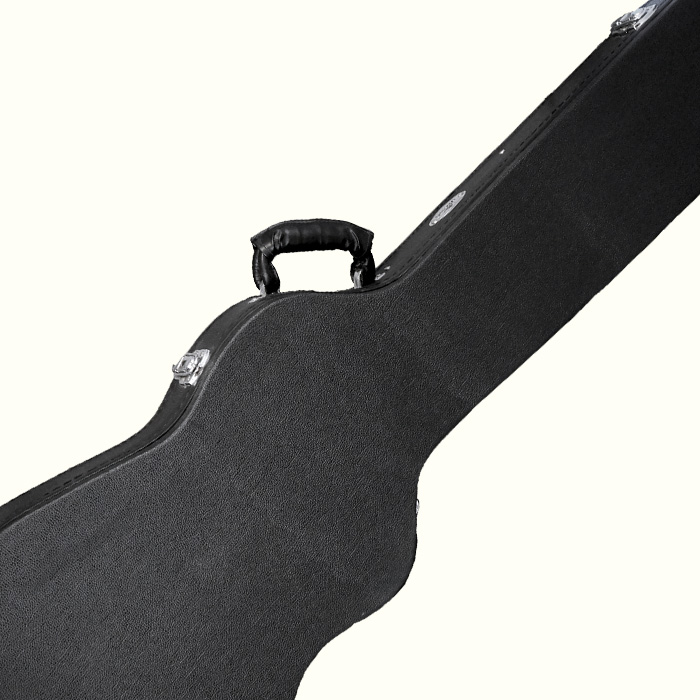 Bass Guitar Cases