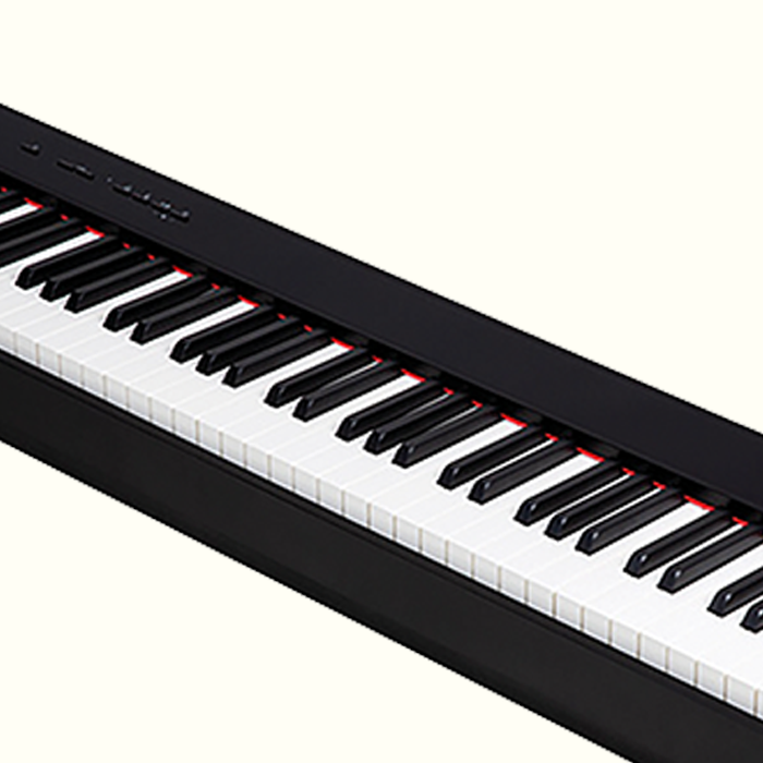 Keyboard Amps Keyboard Amps