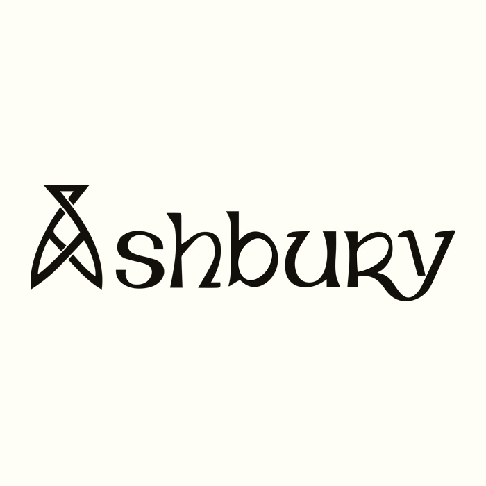 Ashbury Acoustic Guitars