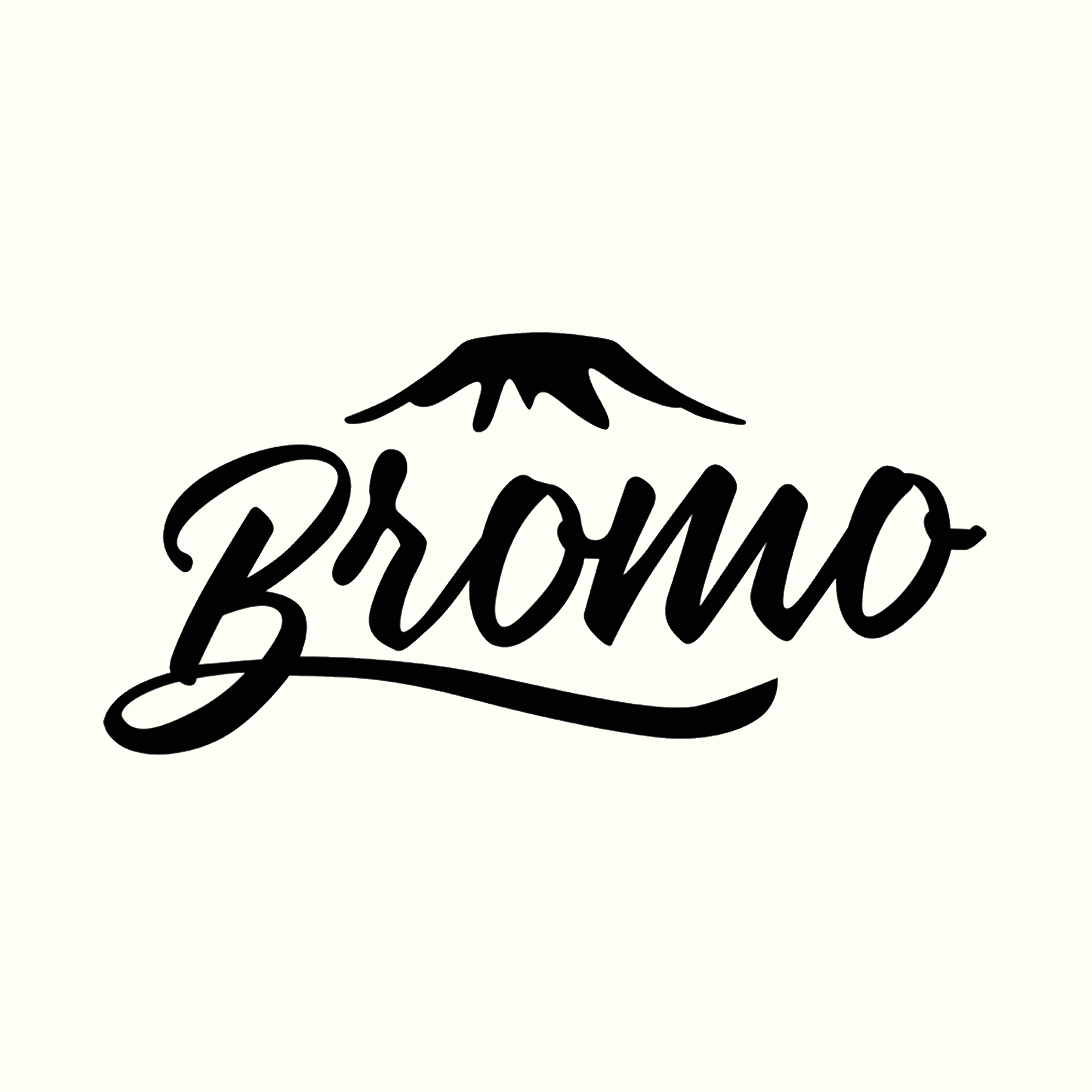 Bromo Acoustic Guitars