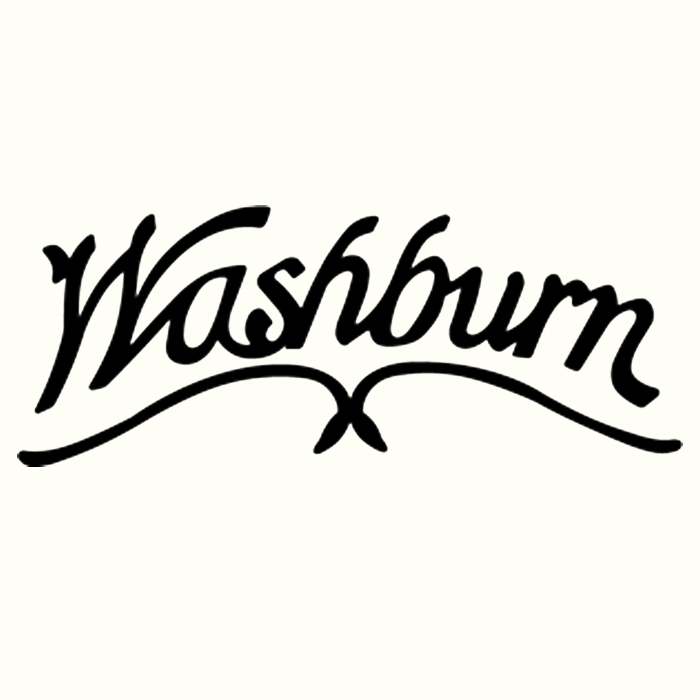 Washburn Acoustic Guitars