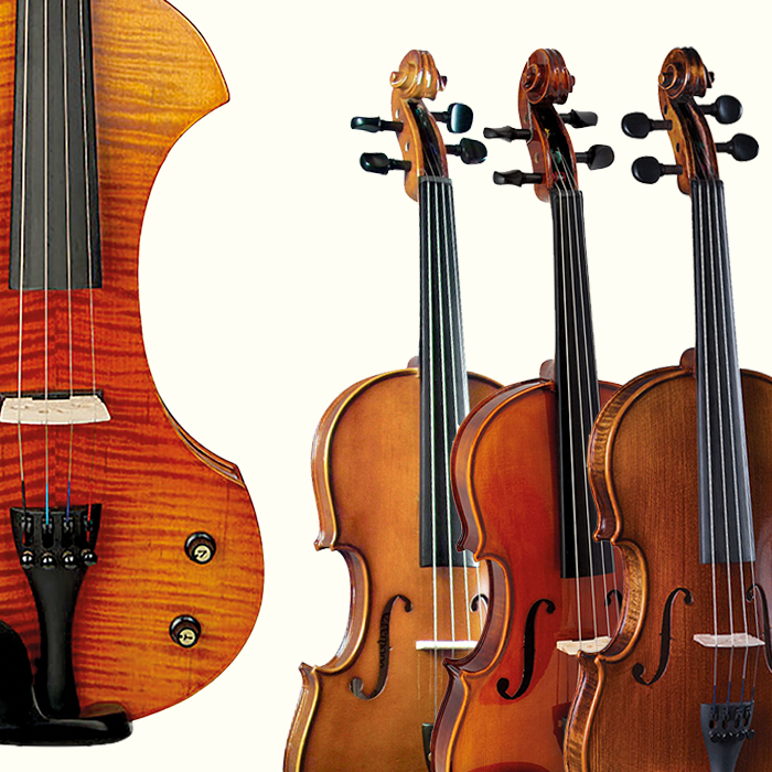 Bowed Instrument Accessories