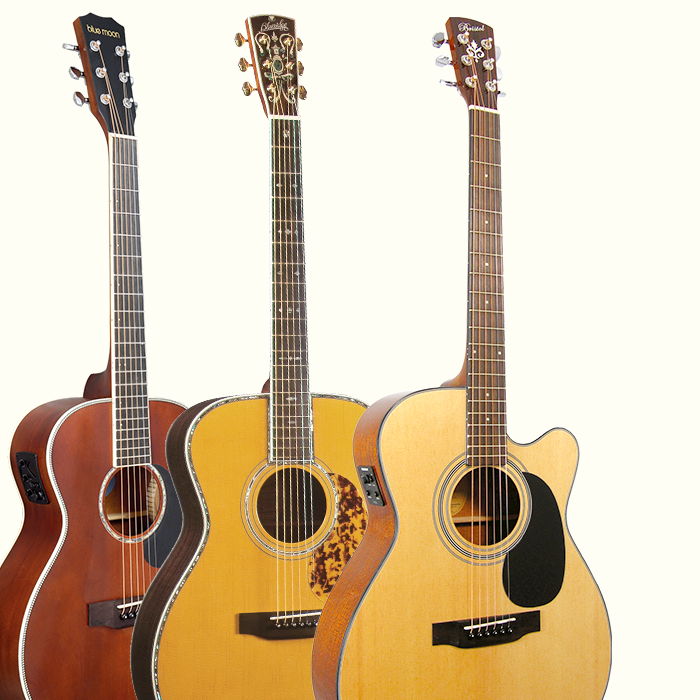 Accessories for Acoustic Guitars