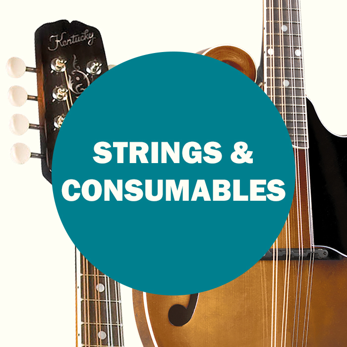 Mandolin Strings and Consumables