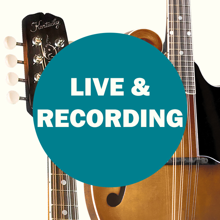 Mandolin Live and Recording Equipment