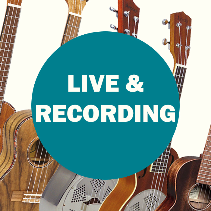 Ukulele Live and Recording Equipment