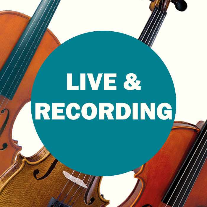 Violin Live and Recording Equipment