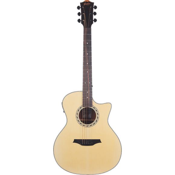 Bromo BAA2CE Appalachia Electro, Auditorium