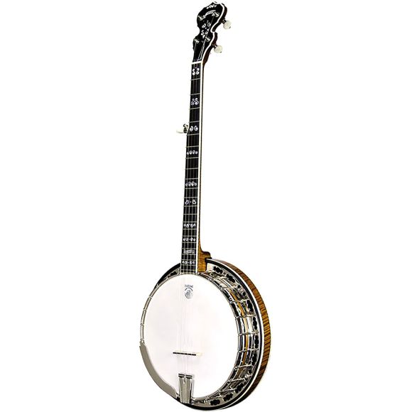 Deering Calico 5 string Banjo