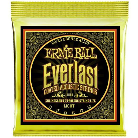 Ernie Ball Everlast 80/20 Guitar Strings, Lights