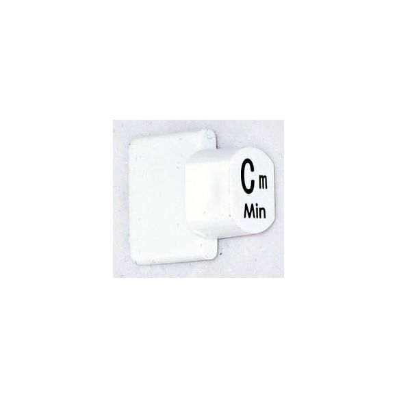 Ashbury Autoharp Key, Cm