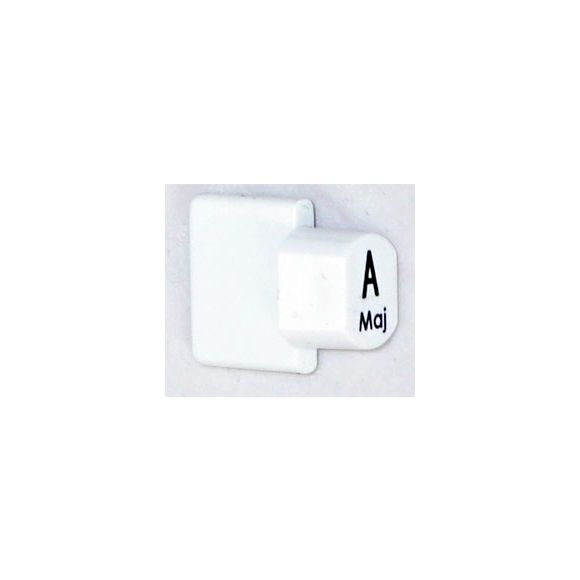 Ashbury Autoharp Key, A