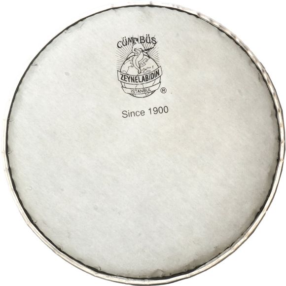 Pape Style Darabuka Skin 20cm