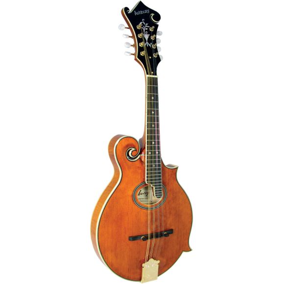 Ashbury AM-370 F Style Mandolin, Oval Hole