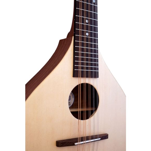 Ashbury Rathlin Cittern, 10 String