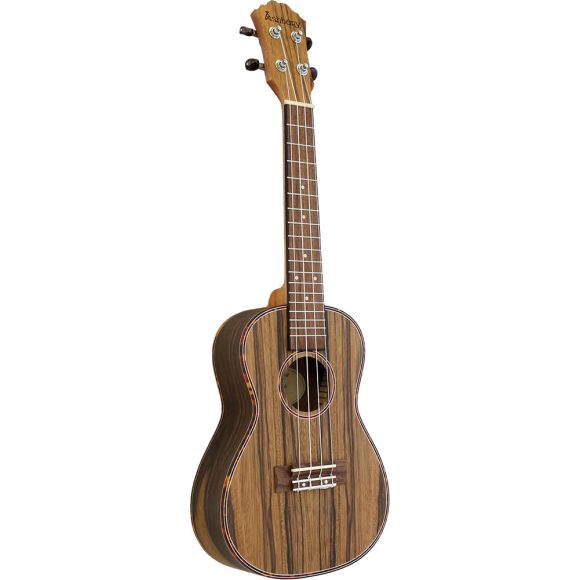 Ashbury AU-89CZ Concert Ukulele