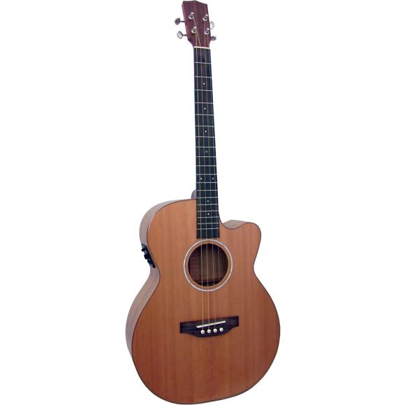 Ashbury Lindisfarne Tenor Guitar