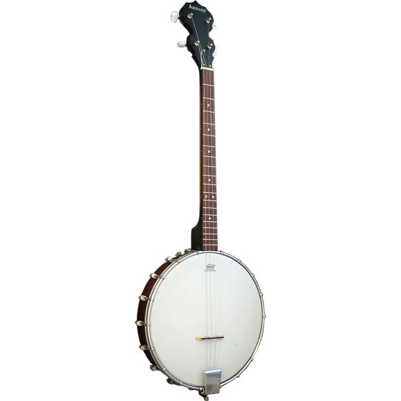 Ashbury AB-10-T Tenor Banjo. Openback