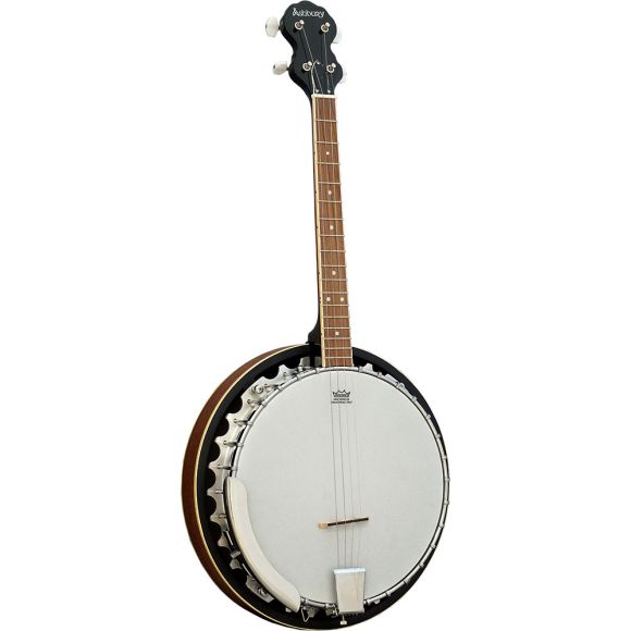 Ashbury AB-35-TS Tenor Banjo, Short Scale