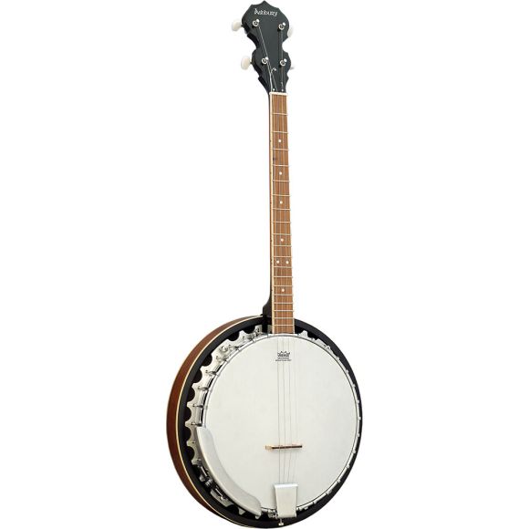 Ashbury AB-35-T Tenor Banjo