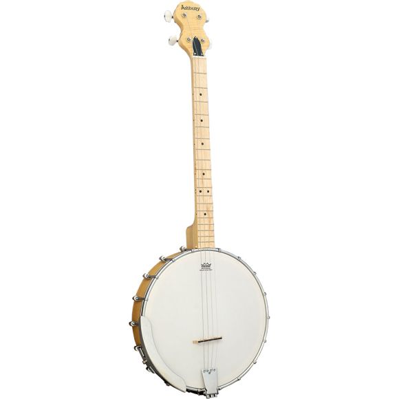 Ashbury AB-25-T Tenor Banjo, Open Back