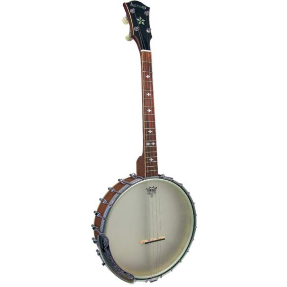 Ashbury AB-55-TS Tenor Banjo, Openback
