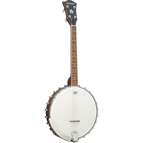 Ashbury AB-53-T Tenor Banjo, Walnut Open Back