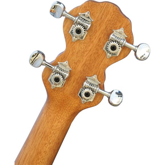 Ashbury AB-14 Concert Ukulele Banjo