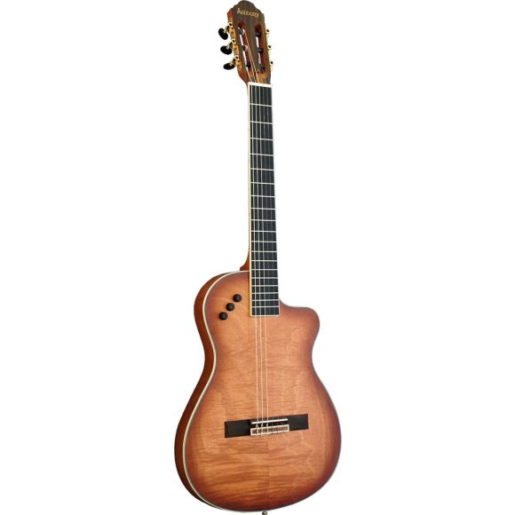 Ashbury AGC-333EC Electro Classical Guitar (ID: GR50048)