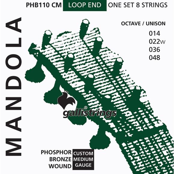 Galli PHB110 CM Octave Mandolin, Medium Gauge