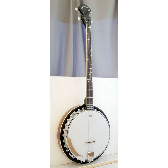 Ashbury AB-35P Plectrum Banjo, Neck Repair