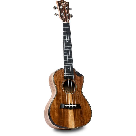 Snail SR-04TE Tenor Uke, All Solid Acacia