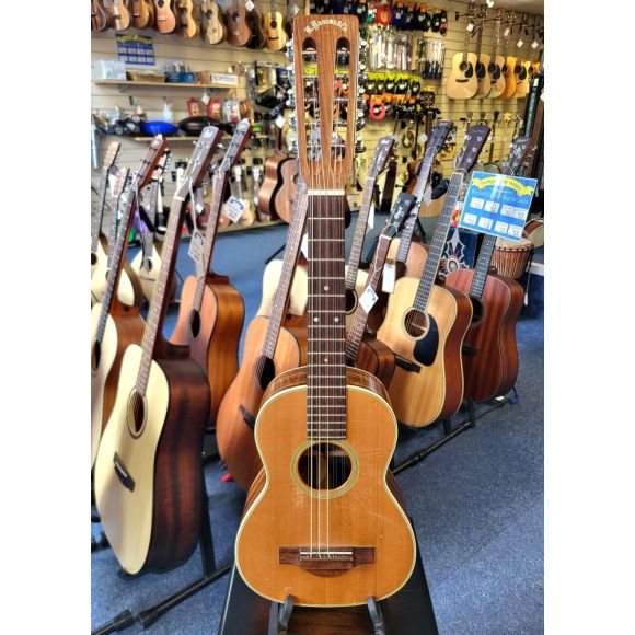 Yasuma T28 Tiple, 1970s Made in Japan, 10 string, 5 course, currently tuned DGCEA with gig bag