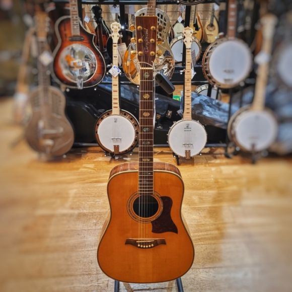 Tanglewood TW1000 Dreadnought guitar, solid spruce top, rosewood back and sides 