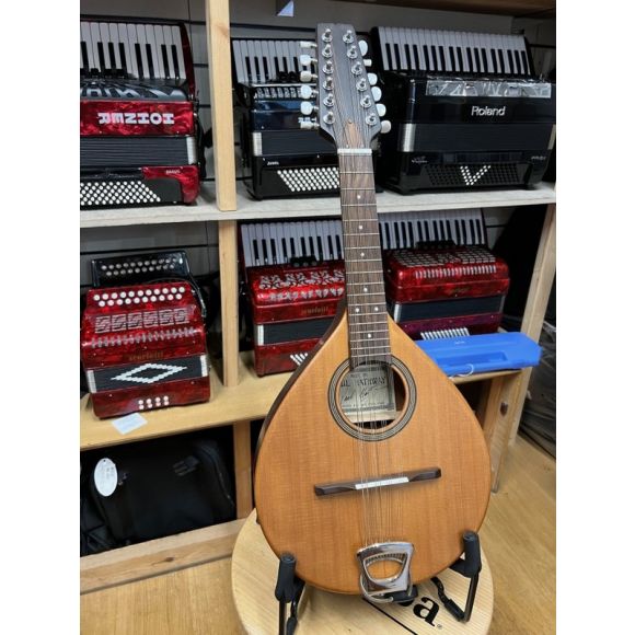 Hathway Mandolin, 12-string,  cedar top