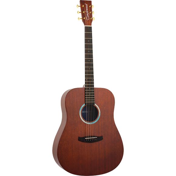 Tanglewood Elemental Dreadnought Acoustic Guitar