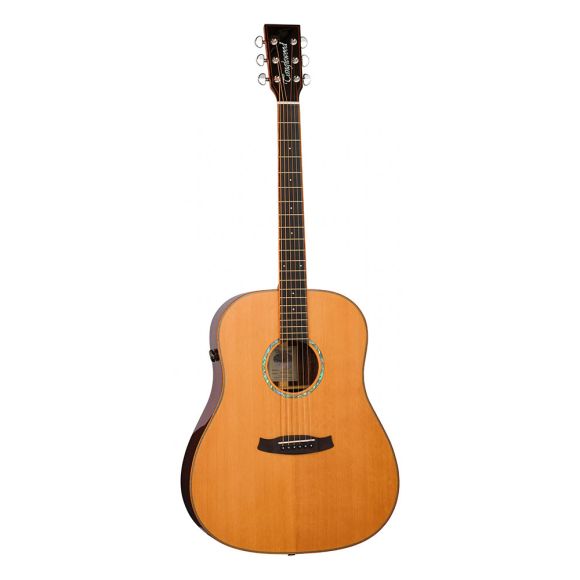 Tanglewood Rosewood Smart Slope Dreadnought Electro