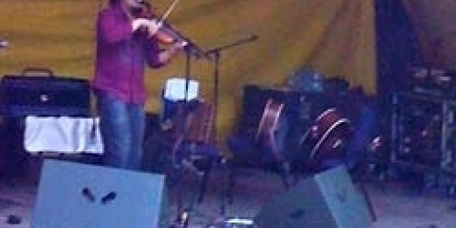 CRAWLEY FOLK FESTIVAL 2009