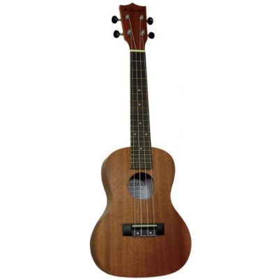 Fretted & Stringed Fretted & Stringed